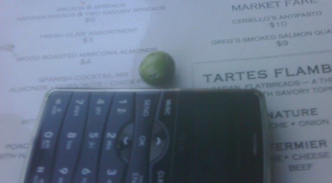 My organic watermelon
