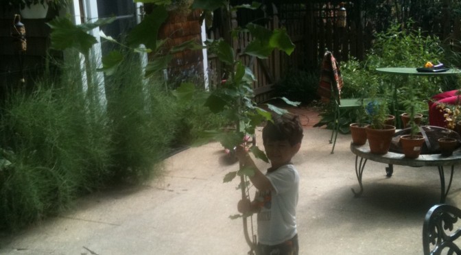 Weeding the garden