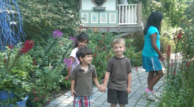 Butterflies!